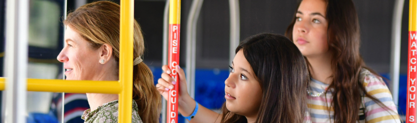 Access and Safety Action Plan (ASAP)